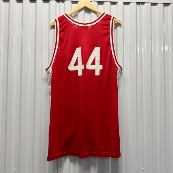 90s Keith Van Horn Utah Champion Jersey