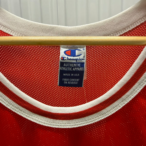 90s Keith Van Horn Utah Champion Jersey